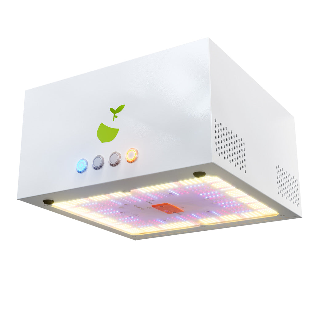 Grow LED