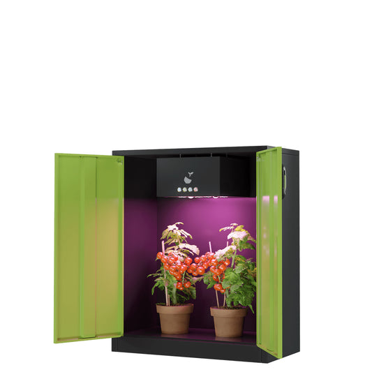 Diese Growbox mit LED als Komplettset bestellen