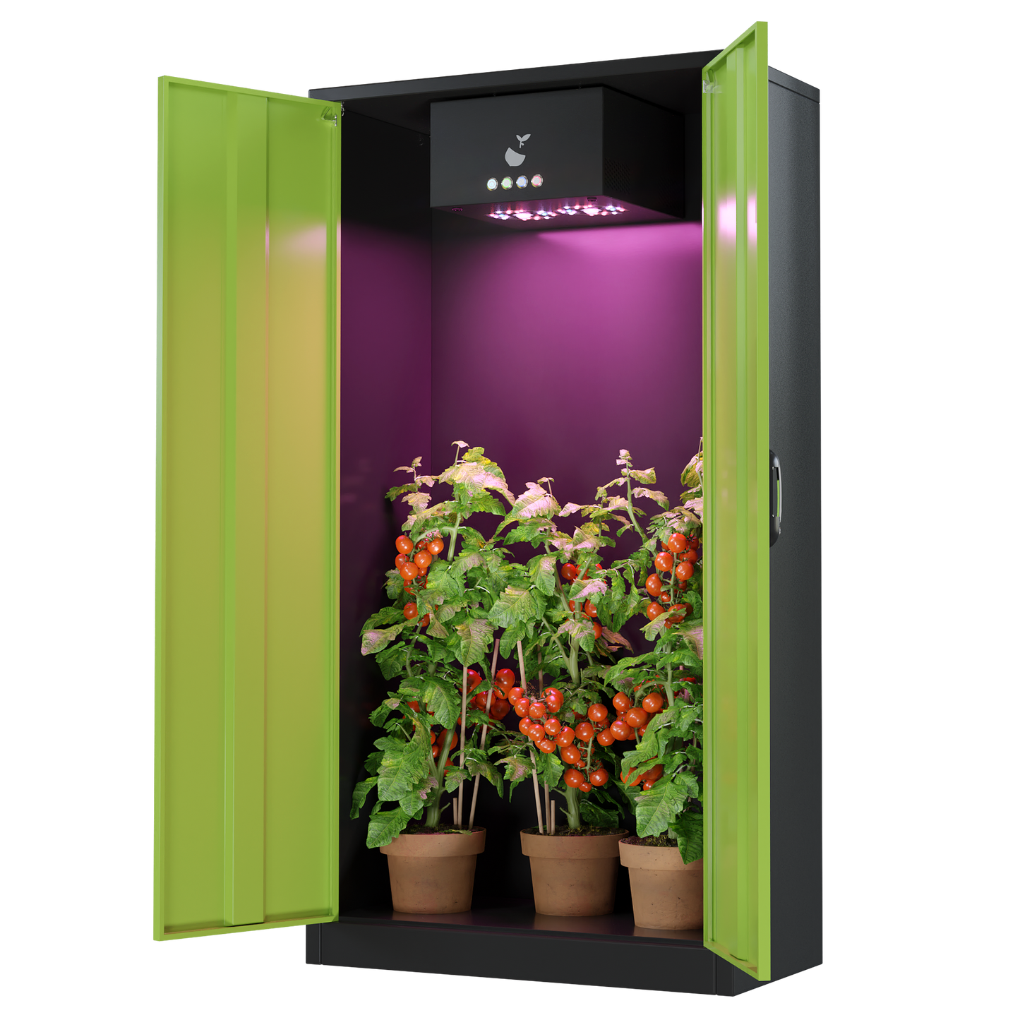 Türen offen bei Hazelbox Growbox Komplettset mit LED