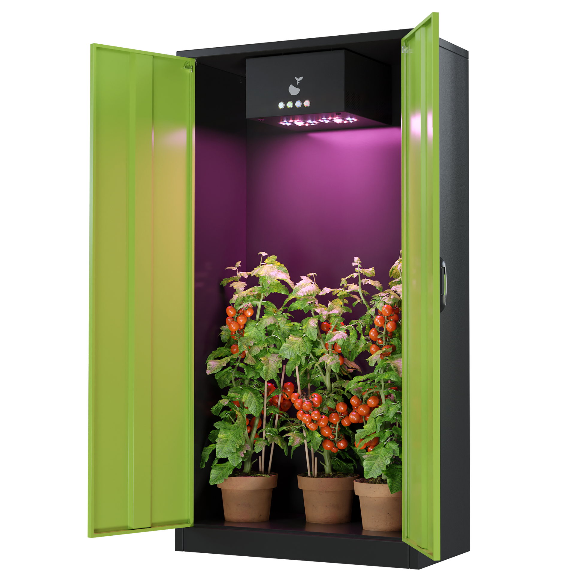 Türen offen bei Hazelbox Growbox Komplettset mit LED