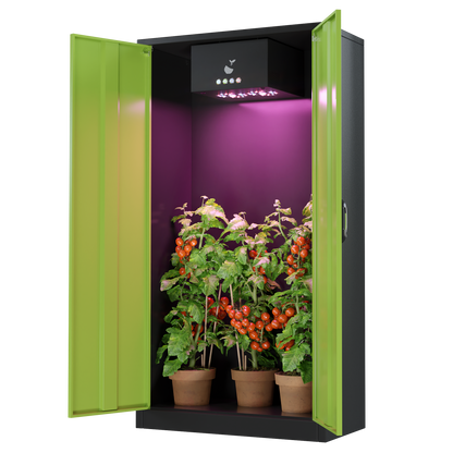 Türen offen bei Hazelbox Growbox Komplettset mit LED