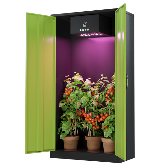 Türen offen bei Hazelbox Growbox Komplettset mit LED