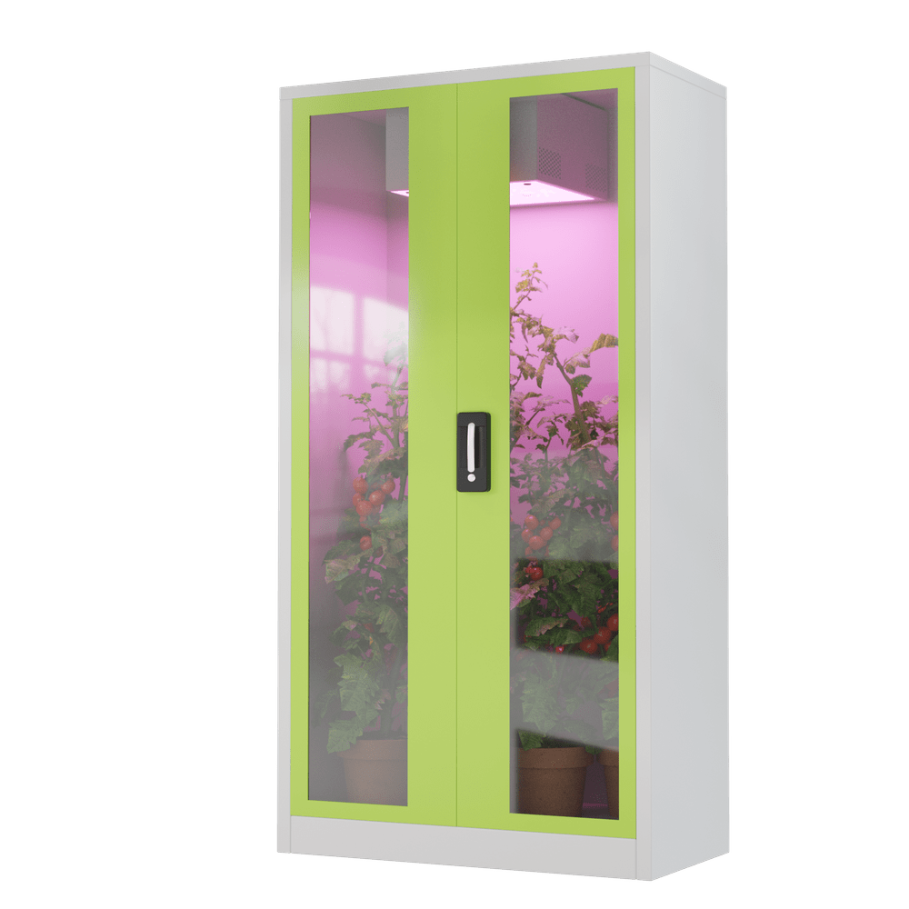 Growset von Hazelbox mit Fenstern
