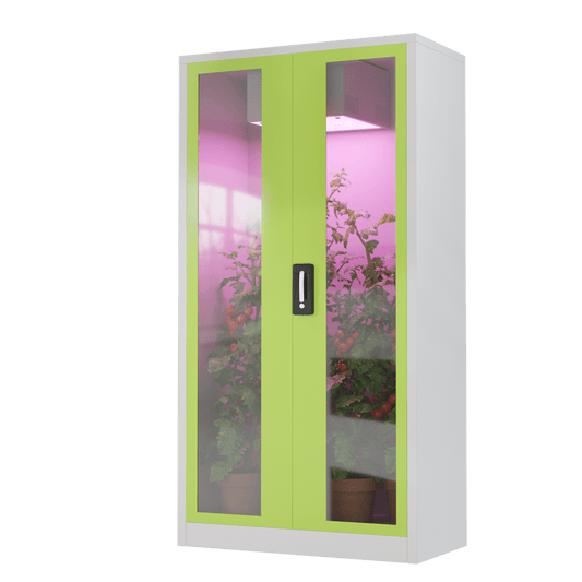 Growset von Hazelbox mit Fenstern