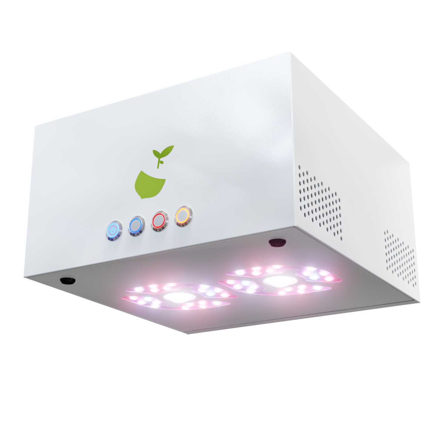 Hazelbeam3 LED automatisch komplett