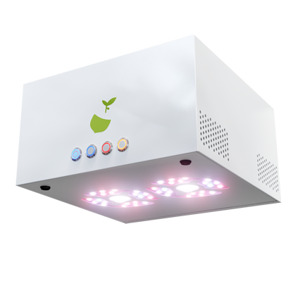 Hazelbeam3 LED automatisch komplett