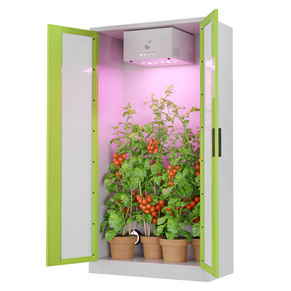 Growset Hazelbox Switch mit LED und schaltbaren Fenstern SALE 19% Rabatt